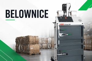 Belownice
